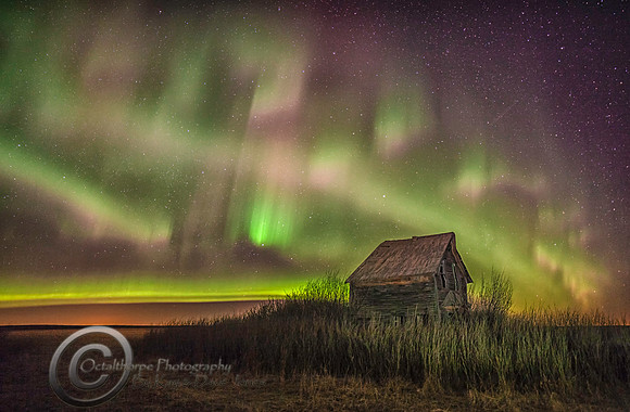 Aurora Borealis - Alberta