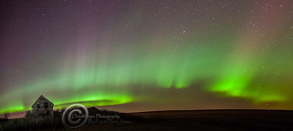 Aurora Borealis - Alberta