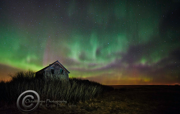 Aurora Borealis - Alberta