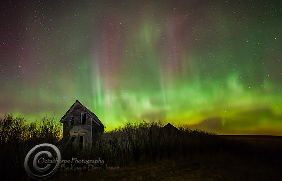 Aurora Borealis - Alberta