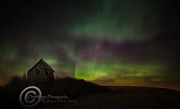 Aurora Borealis - Alberta