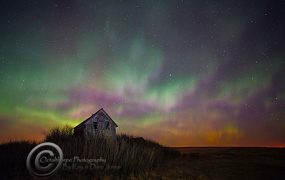 Aurora Borealis - Alberta