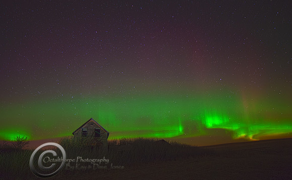 Aurora Borealis - Alberta