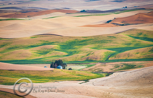 Steptoe Butte