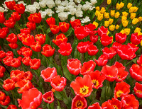 Holland - The Netherlands