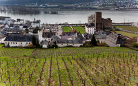 Ruedesheim, Germany