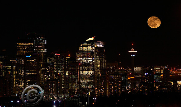 2012 Calgary at night!